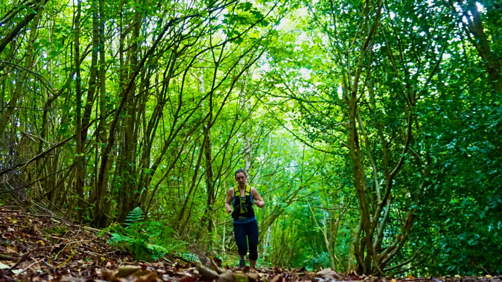 running under trees