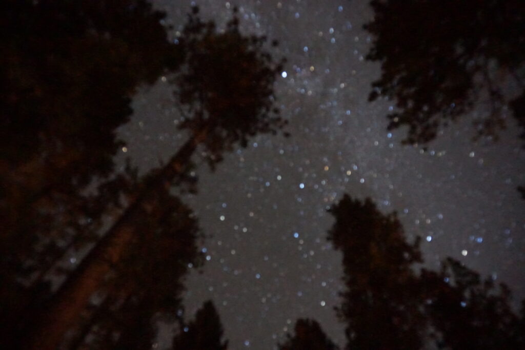 starry night sky photo with trees in lake tahoe