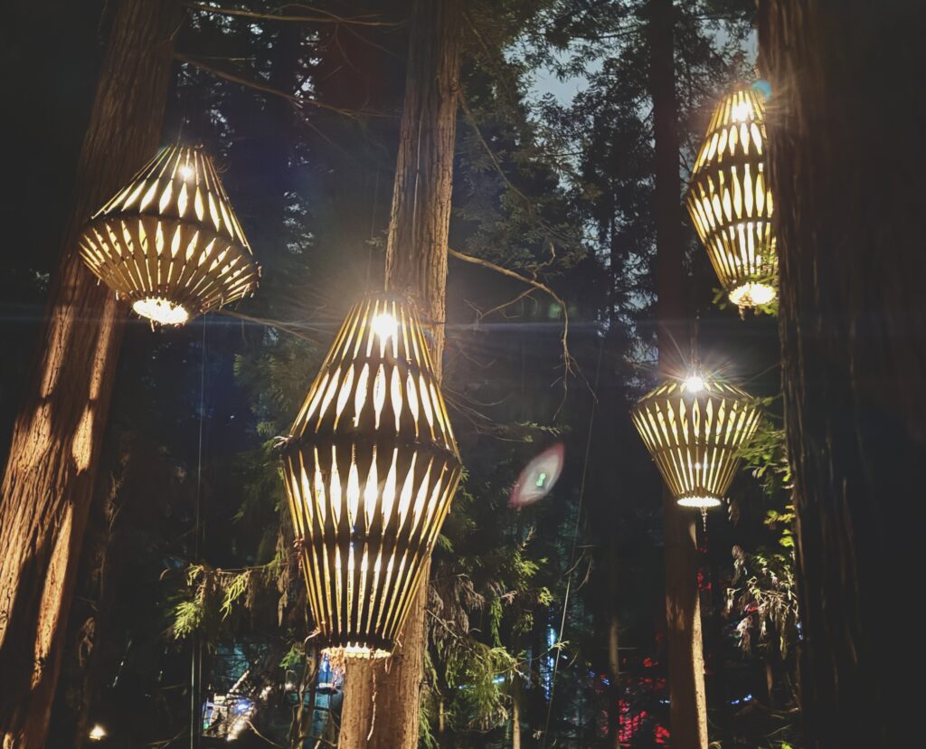 lanterns in Rotorua