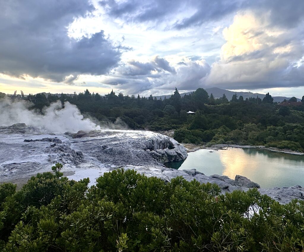 Te Puia geyser