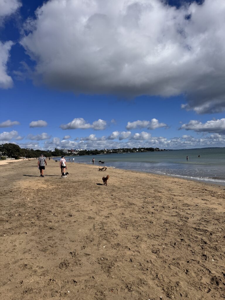 Takapuna Beach