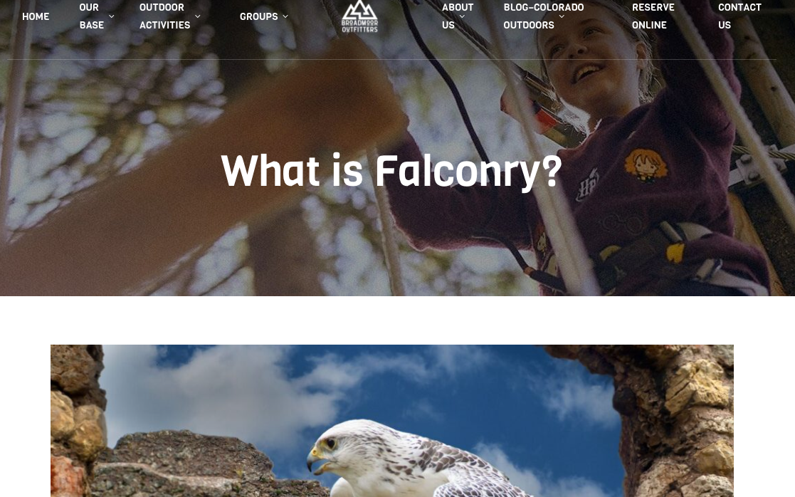 broadmoor outfitters falconry