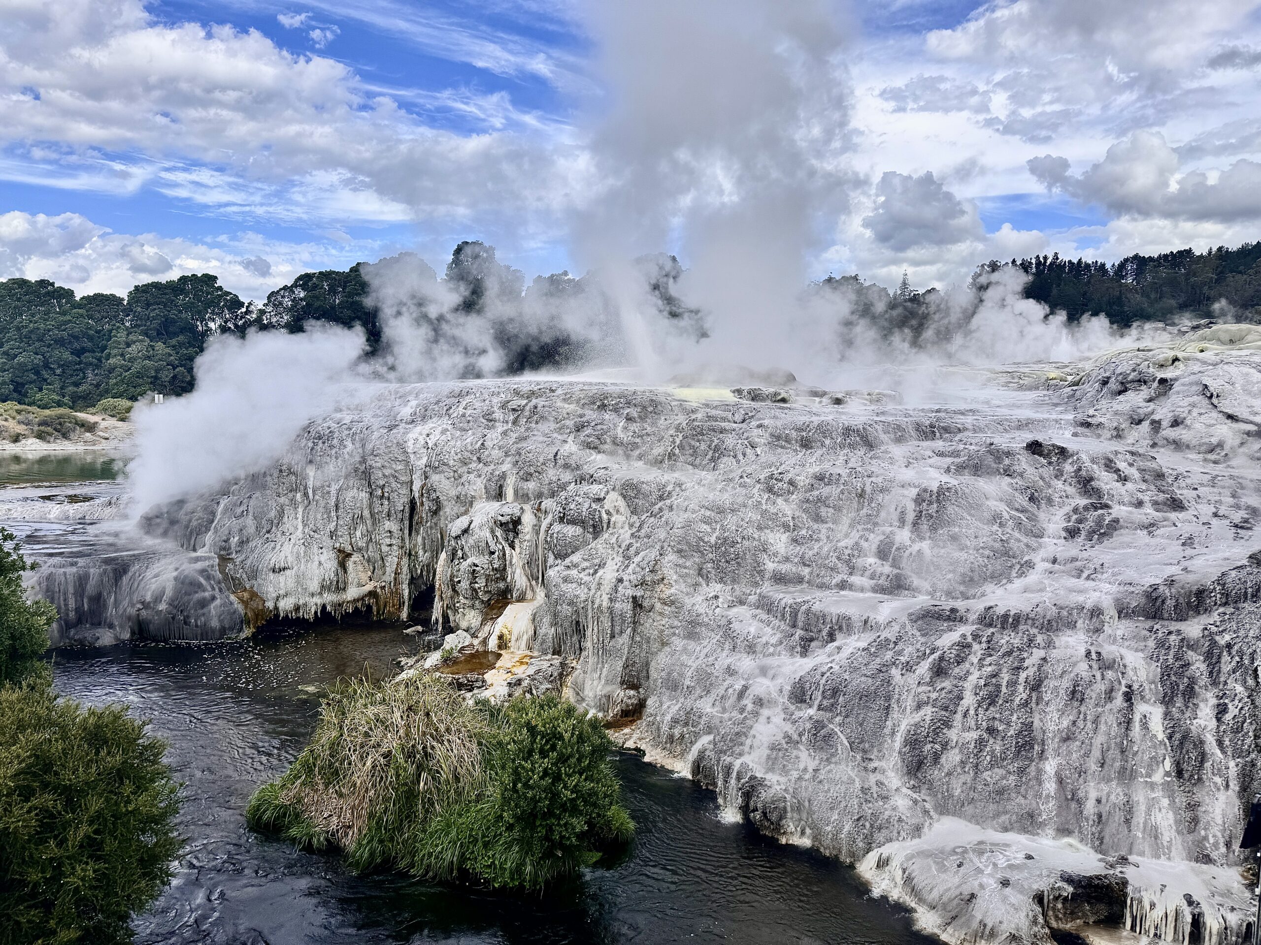 geyser Te Puia